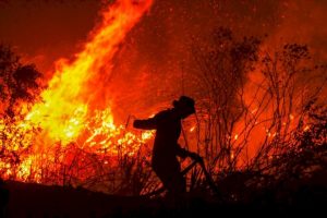 Los intereses detrás del fuego