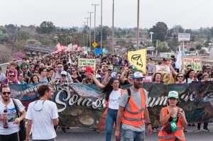 TODO FUEGO ES POLÍTICO