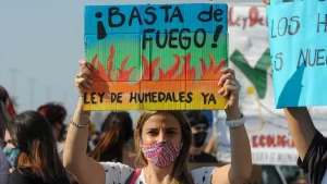 Ley de humedales. El debate abierto