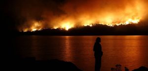 Lee más sobre el artículo INCENDIOS EN LA COMARCA: Negocios capitalistas de hoy y de ayer y complicidades gubernamentales
