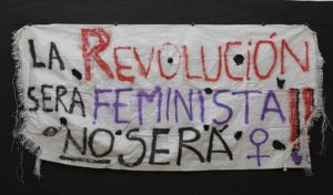 Lee más sobre el artículo FEMINISMO ¿Reforma o revolución?