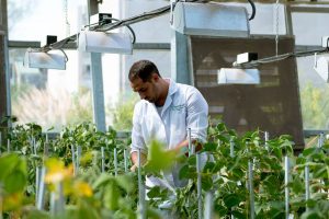 Lee más sobre el artículo Sequía, Wall Street y alfajores: cómo se construyó Bioceres, la Monsanto argentina