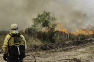 Lee más sobre el artículo Corrientes en llamas: el extractivismo y la desidia como combustibles de una tragedia anunciada