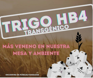 Lee más sobre el artículo Declaración de los pueblos fumigados de la provincia de Buenos Aires