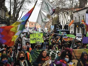 Lee más sobre el artículo Colapso ecosistémico: este año el Congreso trató cero leyes ambientales