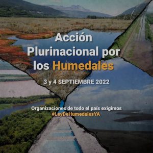 Lee más sobre el artículo 3 y 4 de septiembre – Acción Plurinacional por los Humedales